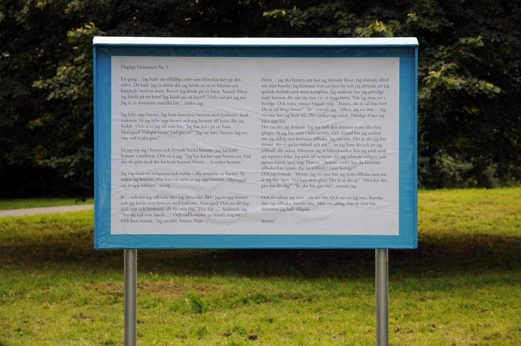 Matthijs de Bruijne, Daily Dreams, 2010