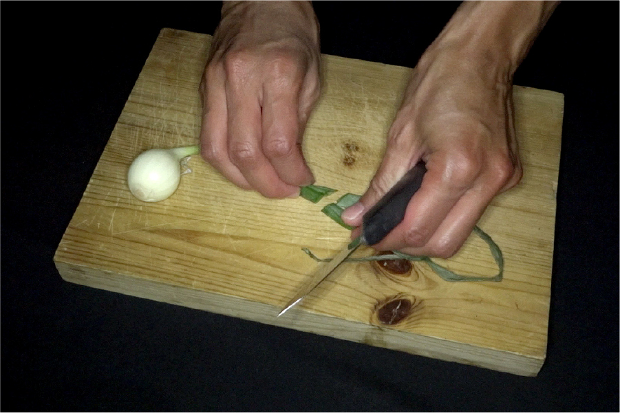 Sasha Huber, Petri Saarikko, Remedies, 2011